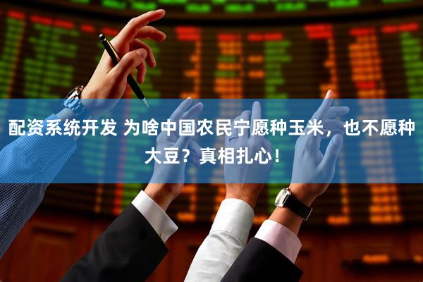 配资系统开发 为啥中国农民宁愿种玉米，也不愿种大豆？真相扎心！